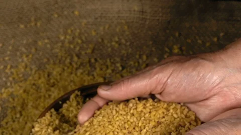 Close-Up, Slow Motion, Elderly Woman's Hands Take From A Bowl of Grains Wheat Stock Footage 91098246