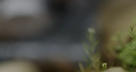 Close Up Slow Motion Flowing River Water with Rocky Shore 스톡 동영상 336806280