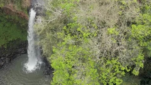 Close slow motion footage over a waterfall among trees. Aerial. Video stock 332259729