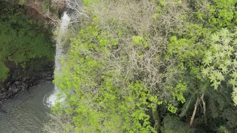 Close slow motion footage over a waterfall among trees. Aerial. Stock Footage 332259891