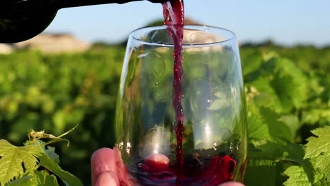Close-up slow motion footage of red wine pouring into glass held in hand wi.. Stock-Footage 333775025