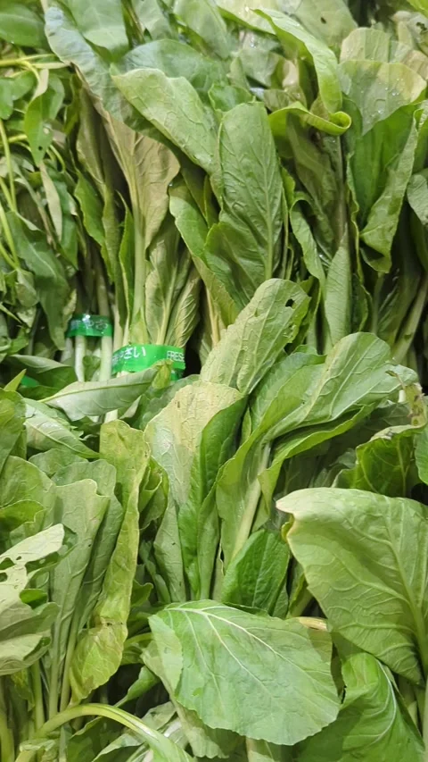 Close-up Slow Motion of Fresh Green Mustard Greens at Traditional Market Stock Footage 328973428