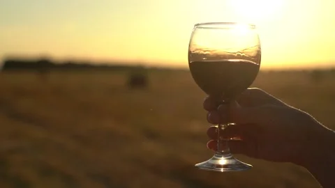 Close up. Slow motion. Glass of red wine in hand of girl against a sunset. Video stock 135542922