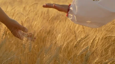 Close-Up, Slow Motion, The Hands of Two Rural Women Walking in the Field Stock Footage 91900062