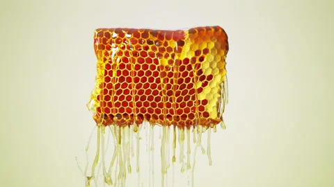 Close up Slow motion Honey Liquid Dripping from Honey comb. Stock Footage 205541578