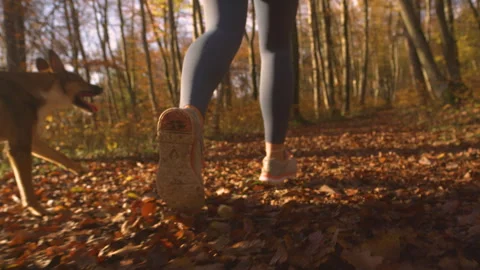 CLOSE UP, SLOW MOTION, LOW ANGLE VIEW Woman running with her dog in autumn woods Stock Footage 252223928