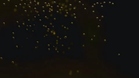 Close-up, slow motion macro shot of dark beer pouring Stock Footage 309863976