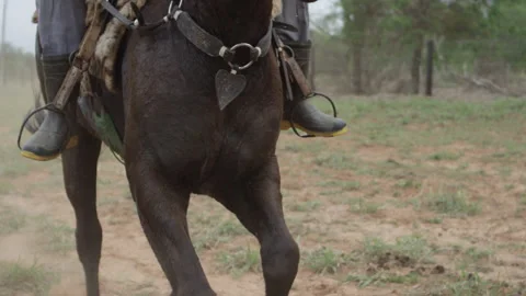 Close-up Slow Motion Panning Shot Of A Individual Riding A Horse And Stock Footage 208840700