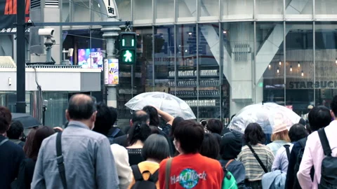 Close up Slow motion of pedestrian crossing street upon green light Stock-Footage 196077596