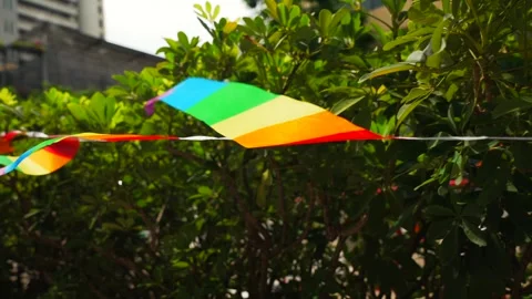 Close up slow motion of rainbow-colored flags strung and waving above greenery 스톡 동영상 316591645