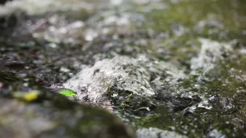 Close up, slow motion A relaxing shot of a stream running over a stone Stock Footage 131604290