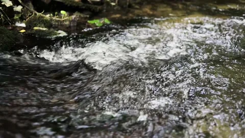 Close up, slow motion A relaxing shot of a stream running over a stone Stock Footage 131609311