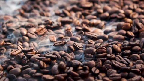 Close-up slow motion roasting coffee beans or seeds background with white smoke Vídeos de archivo 311512044