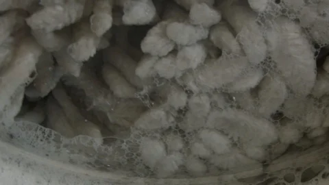 Close-up in slow motion of a rug inside spinning washing machine Stock Footage 117626101