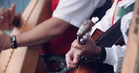 Close up slow motion shot, Austrian musician playing harp. Stock Footage 120315925