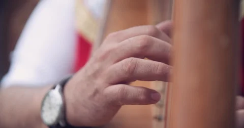 Close up slow motion shot, Austrian musician playing harp. Stock Footage 120320859