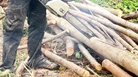 Close-up slow-motion shot close-up 4k video. Cutting through wood with chainsaw. Stock Footage 336570238