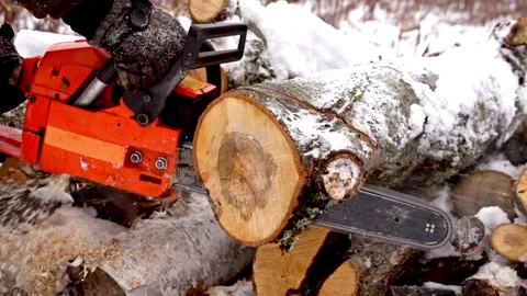 Close-up slow-motion shot close-up 4k video. Cutting through wood with chainsaw. Stock Footage 336570445