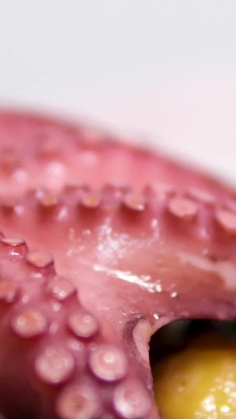 Close up slow motion shot of a complete dish of grilled octopus with chickpeas Stock-Footage 305979247