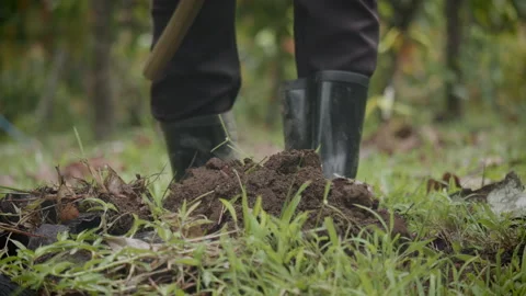 Close-up slow motion shot of farmer hands using a hoe an agriculture hand t.. Stock Footage 238513008