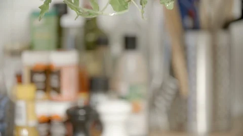 Close-up slow motion shot of fresh arugula falling on plate in kitchen - Paris, Stock Footage 129203219