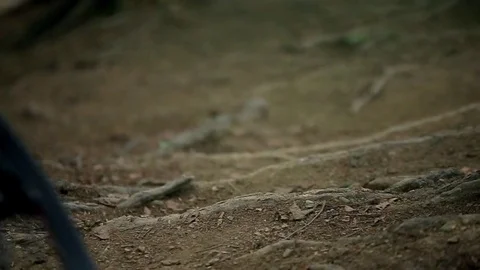 Close-up slow motion shot of mountain bike jumping on single-track dirt trail. Vídeos de archivo 70508031