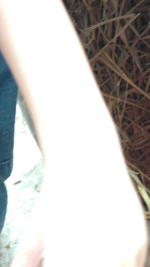 Close up slow motion video of a little child hand carefully picking up . Stock Footage 340161138