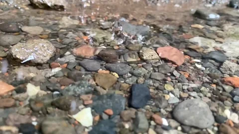 Close up Slow motion of water dripping onto the gravel or pebble Stock Footage 229067519