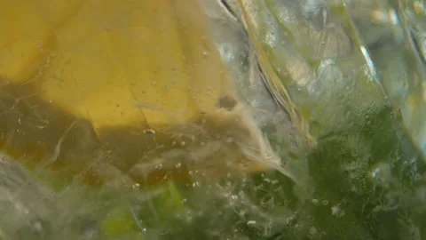 Close-up slow motion of water, ice and mint in glass Stock Footage 171643446