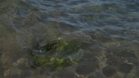 Close up slow motion wave splash sea Stock Footage 235918947