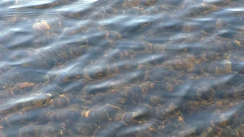 Close up of slow motion waves and ripples on river water surface. Stock Footage 120644287