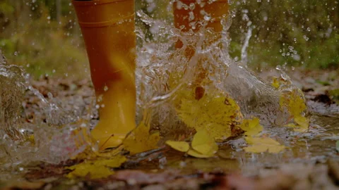 CLOSE UP, SLOW MOTION: Yellow boots splashing through an autumn forest puddle Stock Footage 342354429