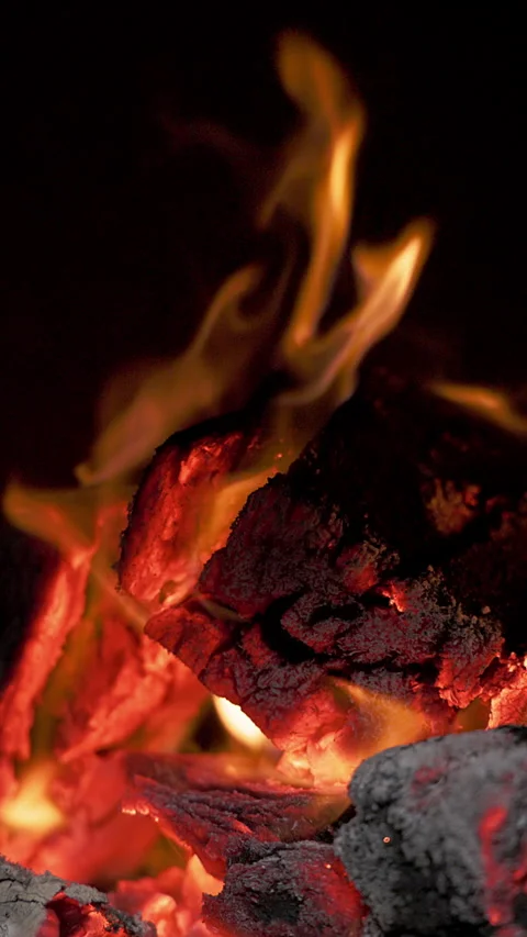 A close-up of slowly burning firewood Stock Footage 333194008