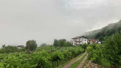 Close Slowmotion Movement of clouds while raining in Trento, Italy, 4K Stock Footage 138128552