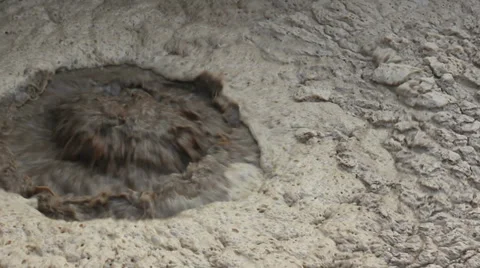 Close up on sludge in a waste water pool Stock Footage 35657505