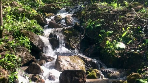 Close-up of the smal waterfall in a forest Stock Footage 308105521