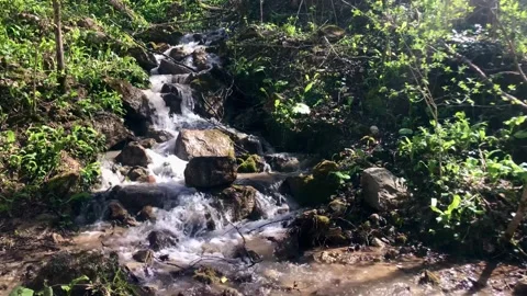 Close-up of the smal waterfall in a forest Stock Footage 308111210