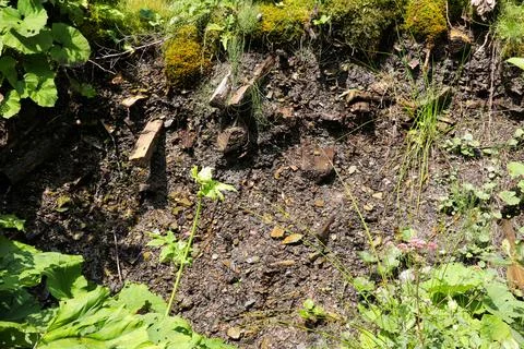 Close-up of a small area of mountainous terrain Stock Photos