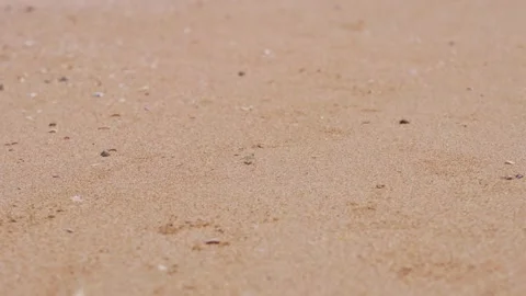 Close Up of Small Crab Moving Over Sand on Tropical Beach Stock Footage 332609482