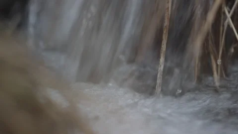 Close-Up of a small creek Stock Footage 89740955