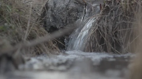 Close-Up of a small creek Stock Footage 89740957