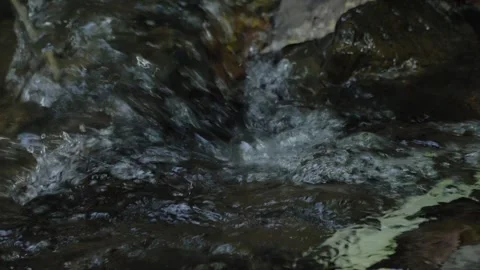 Close up of small creek Stock Footage 303395131