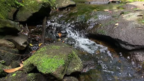 Close up of the small creek river flowing around the rocks Stock Footage 250726600