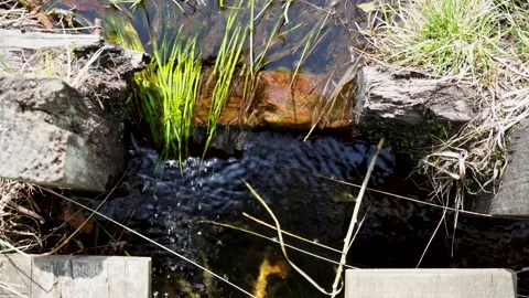 Close up of a small flowing stream Stock Footage 140796711