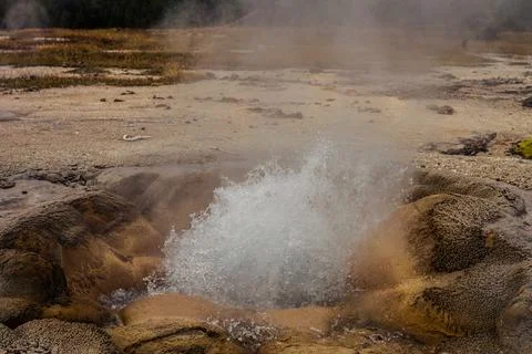 Close up of small hot active gushing gayser in yellowstone national park in a Stock Photos