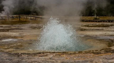 Close up of small hot active gushing gayser in yellowstone national park in a Stock Photos