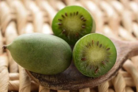 Close up on small kiwis Stock Photos