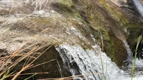 Close-Up of Small Mountain Waterfall Flowing Over Mossy Rocks Stock Footage 331800640