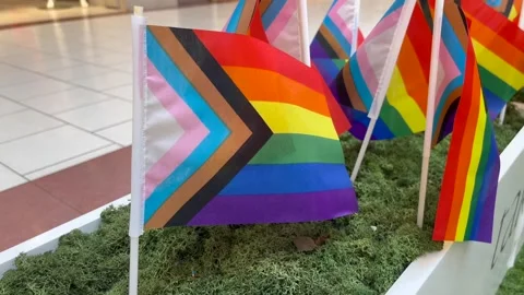 Close up of a small progress pride flag Stock Footage 244289452