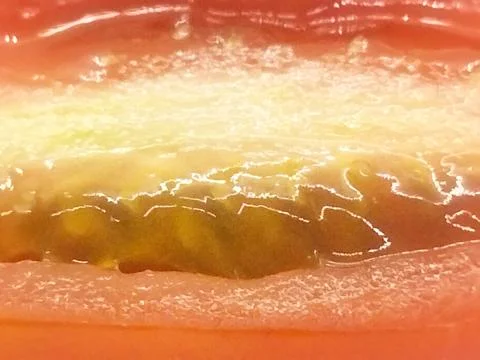 Close up small red tomatoes Stock Photos